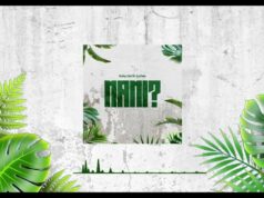 Echo 254 Ft Latinoh – Nani