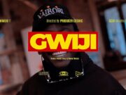 Wakuu Ft Scar Mkadinali – Gwiji