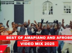 Best Of Amapiano & Afrobeats Mix By DJ Perez Global Run 4 Ft Asake,Uncle Waffles,Chella,Rema