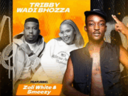 Tribby Wadi Bhozza Ft Zoli White Smoke & SmeezyOn The Beat – Perebere (Mechene)