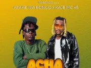 Asake wabongo Ft Kaje mc 45 – Acha ubahiri Asake wabongo Ft Kaje mc 45 - Acha ubahiri