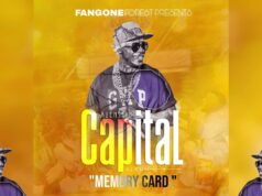 Alien skin – Memory Card