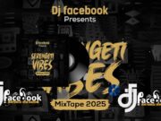 DJ Facebook Crazy Vibe Season 1 Mixtape DJ Facebook Crazy Vibe Season 1 Mixtape