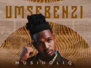 MusiholiQ – Umsebenzi MusiholiQ - Umsebenzi