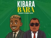 Ndaro Ft Baba Levo – Kibarabara Ndaro Ft Baba Levo - Kibarabara
