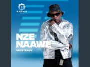 Geosteady – Nze Naawe Geosteady – Nze Naawe