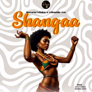 Seneta Kilaka Ft Mbwido Mc - Shanga