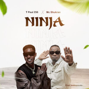 T Paul 256 Ft Mc Shukran - Ninja