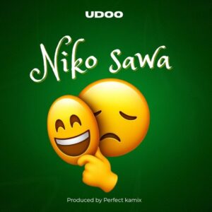 Udoo - Niko sawa