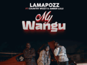 Lamapozz Ft Amber Lulu & Country Wizzy – My Wangu