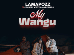 Lamapozz Ft Amber Lulu & Country Wizzy – My Wangu