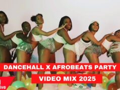 Dancehall & Afrobeats Party Mix 2025 by DJ Bucha Ft Vybz Kartel,Burna Boy,Spice,Ayra Starr