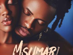 Diamond Platnumz – Msumari Diamond Platnumz - Msumari