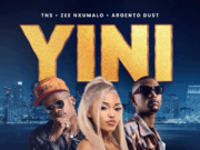 TNS Ft Zee Nxumalo & Argento Dust – Yini
