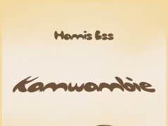 Hamis BSS – Kamwambie