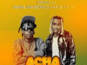 Asake wa bongo Ft Kaje Mc 45 – Achaubaili