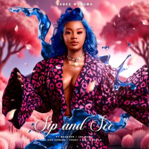 Babes Wodumo - Sip and See ft. Madanon, Jay Music, Don Edward, Frost & Sk