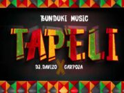 Dj Davizo X Carpoza – Tapeli Dj Davizo X Carpoza - Tapeli