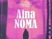 Kindago Ft Mr Blue – Aina Noma
