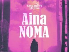 Kindago Ft Mr Blue – Aina Noma