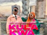 Echo 254 Ft Shekina Karen – Kula kwa macho Echo 254 Ft Shekina Karen - Kula kwa macho