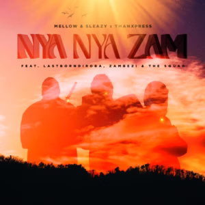 Mellow & Sleazy Ft Tman Xpress, Lastborn Diroba, Zambezi & The Squad - Nya Nya Zam