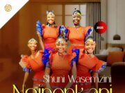 EP Shuni waseMzini – Nginenkani