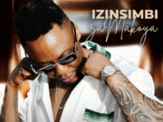 Dj Tira Ft Thatohatsi & Campmasters – Skepsel