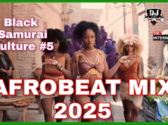 Afrobeats Mix 2025 Ft Naija Vibes,Who’s Dat Girl By Dj Perez – Rema,Ayra Starr,Fola,Burna