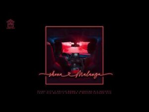 Piano City, Kelvin Momo, Babalwa M & Royce77 - Shona Malanga Ft Sia Mzizi & Ranger - Major League DJz