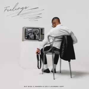 Djy Biza Ft Shakes & Les, Leandra.Vert - Feelings