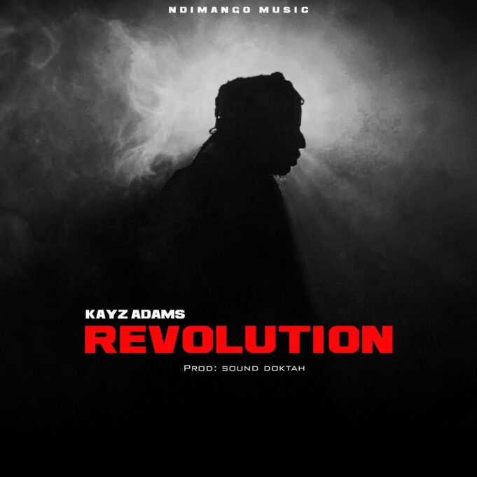 Kayz Adams - Revolution