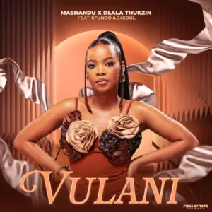 MaShandu, Dlala Thukzin, J4soul Ft Sfundo - Vulani