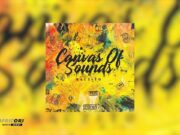 MacZito – What You Gonna Do MacZito - What You Gonna Do