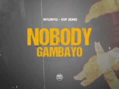 Vip Jemo – Nyu Nyu Vip Jemo - Nyu Nyu