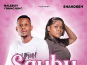 Naleboy Young King Ft Shandesh – Sgubu Naleboy Young King Ft Shandesh - Sgubu