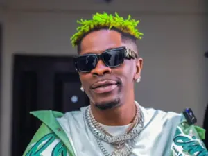 Shatta Wale - Shattafest