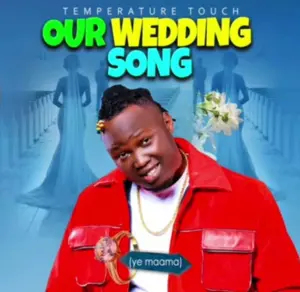 Temperature Touch - Our Wedding Song