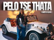 Pabi Cooper – PELO TSE THATA (Shaya Blah) Ft Mulest Vankay & DJ Maphorisa Pabi Cooper - PELO TSE THATA (Shaya Blah) Ft Mulest Vankay & DJ Maphorisa