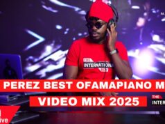 Amapiano Mix 2025,Best Of Amapiano Songs mix By Dj Perez Ft Ciza,Scotts Maphuma,Goon Flavour