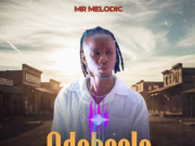 Mr melodic – Ndaboola