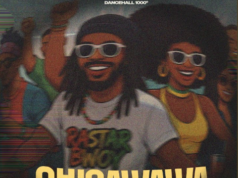 Chizmo Sting – Chisawawa