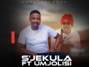 Sjekula SA Ft Mjolisi – Wangihlanyisa