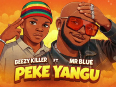 Beezy killer Ft Mr blue – Peke Yangu