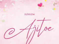 Echo 254 – Ajitoe Echo 254 - Ajitoe