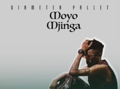 Diameter Pallet – Moyo Mjinga