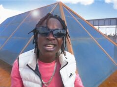 Dstar-Hoozambe X Wadagliz – BREJE Dstar-Hoozambe X Wadagliz - BREJE