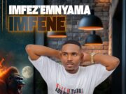 ALBUM Imfezemnyama – Imfene ALBUM Imfezemnyama - Imfene