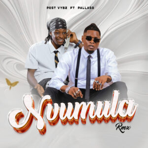 Pest Vybz Ft Pallaso - Nvumula (RMX)