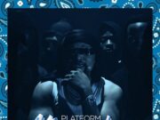 Platform – Msamba Platform - Msamba